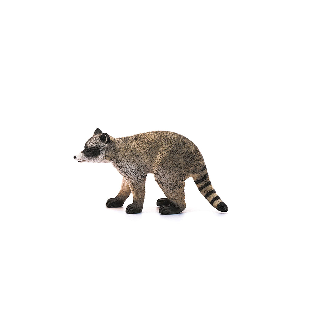 Schleich Raccoon Figurine – Realistic Wild Life Toy for Kids Ages 3+