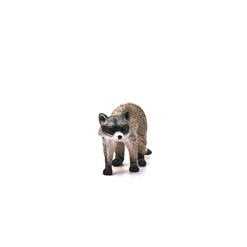 Schleich Raccoon Figurine – Realistic Wild Life Toy for Kids Ages 3+