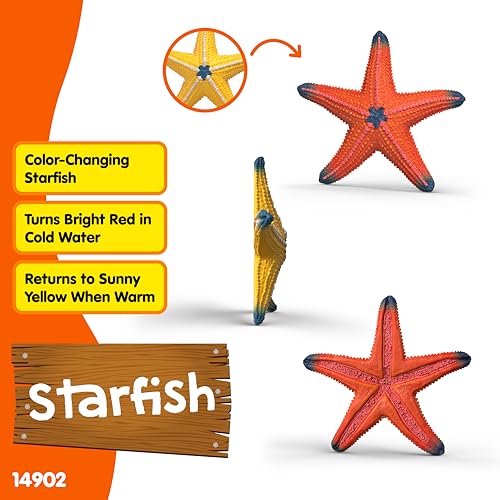 Schleich Starfish Figurine – Realistic Wild Life Toy for Imaginative Play