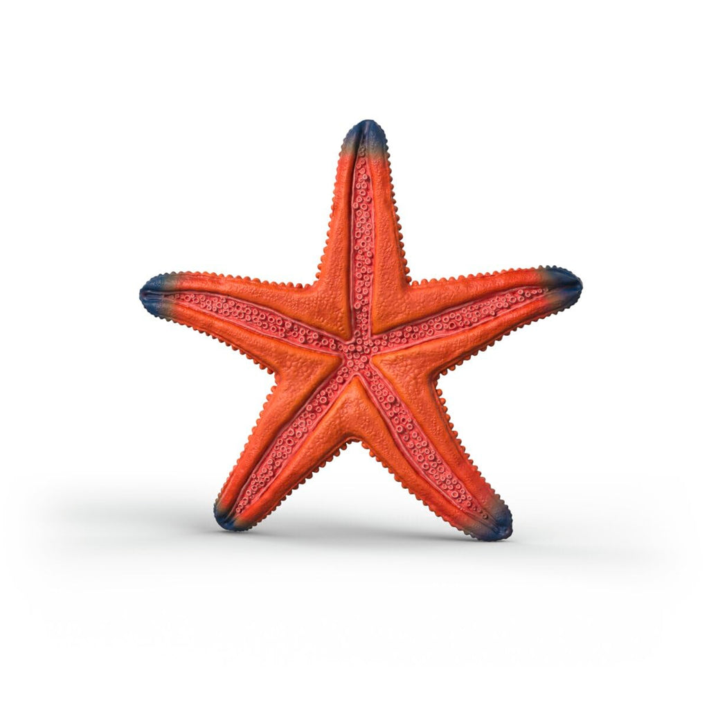 Schleich Starfish Figurine – Realistic Wild Life Toy for Imaginative Play