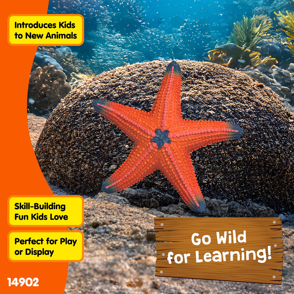 Schleich Starfish Figurine – Realistic Wild Life Toy for Imaginative Play