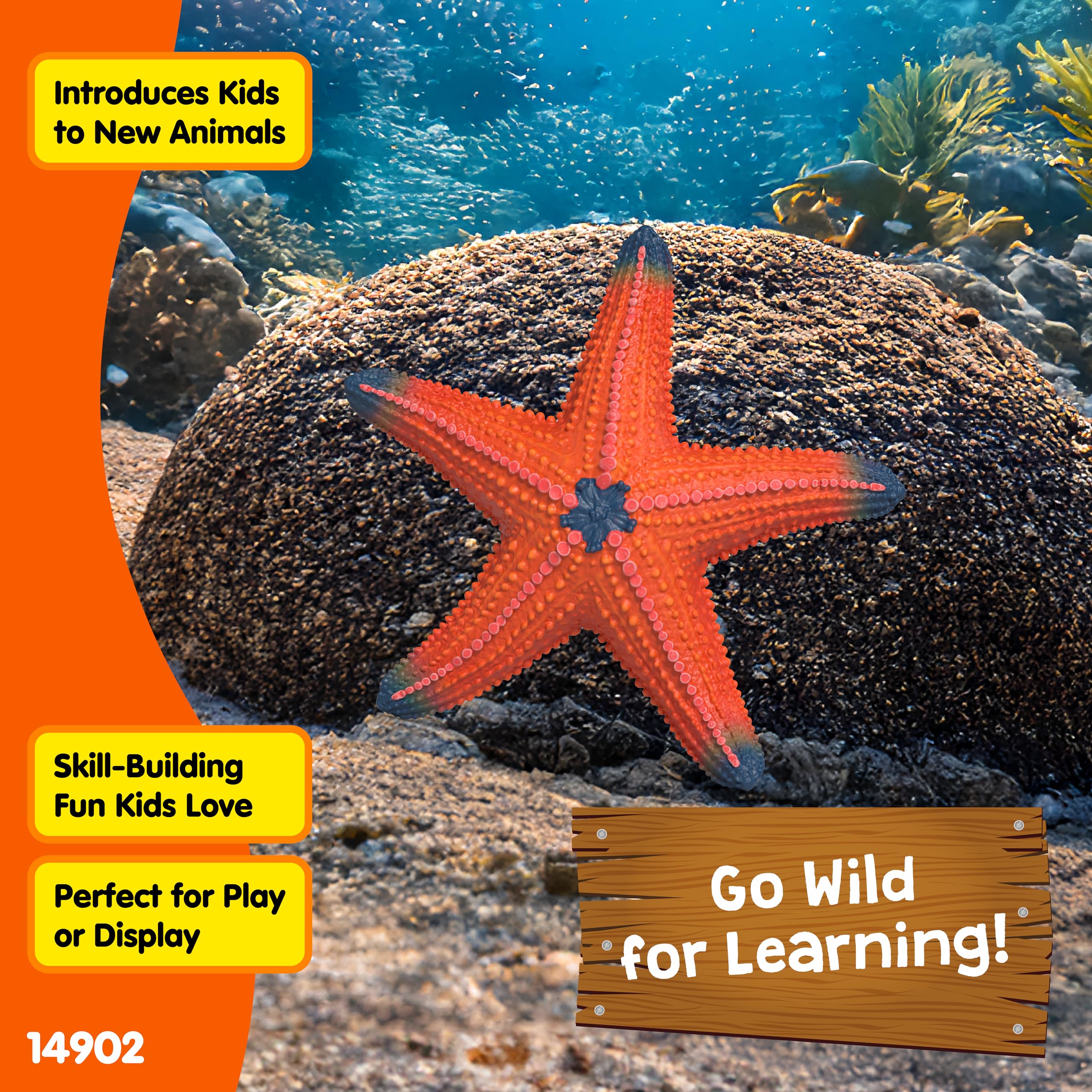 Schleich Starfish Figurine – Realistic Wild Life Toy for Imaginative Play