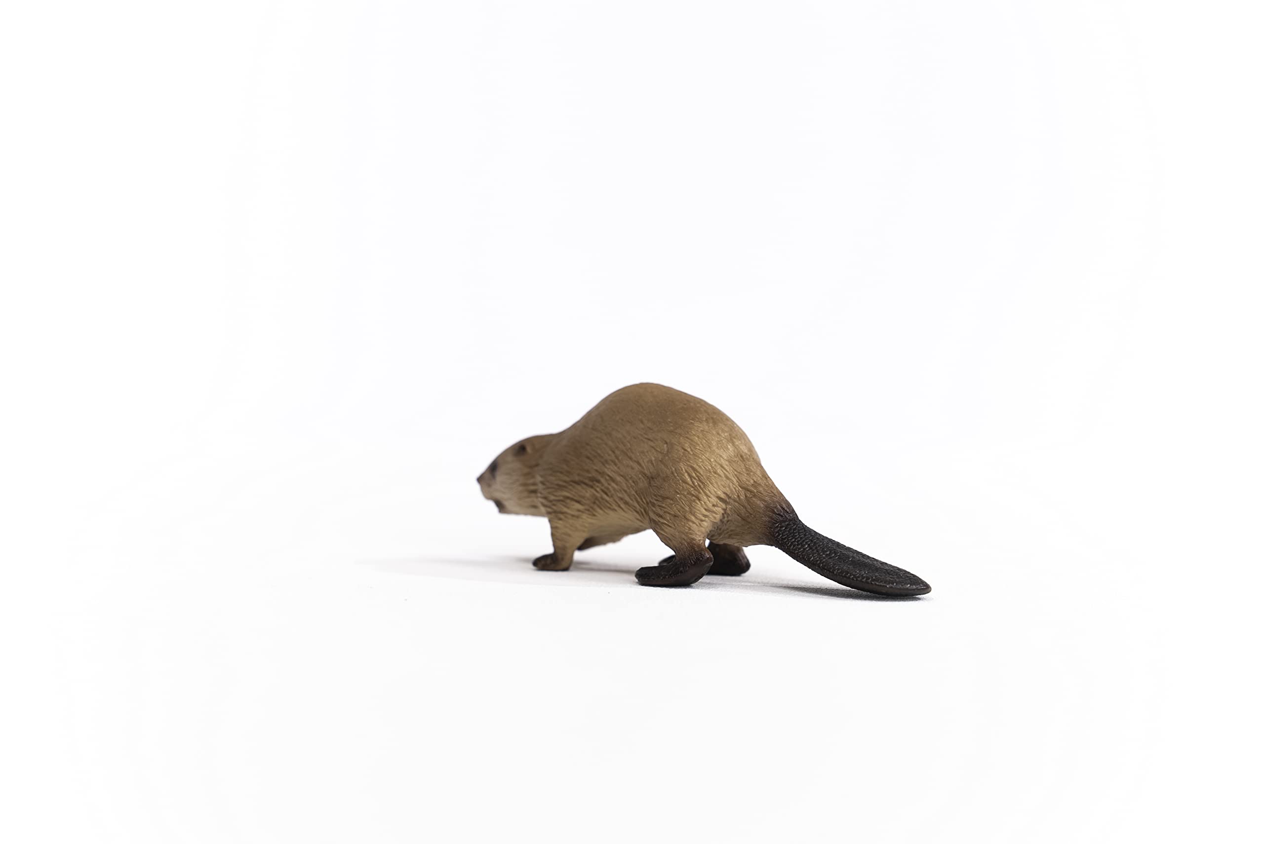 Schleich Wild Life Beaver Figurine – Realistic Woodland Animal Toy for Kids Ages 3+