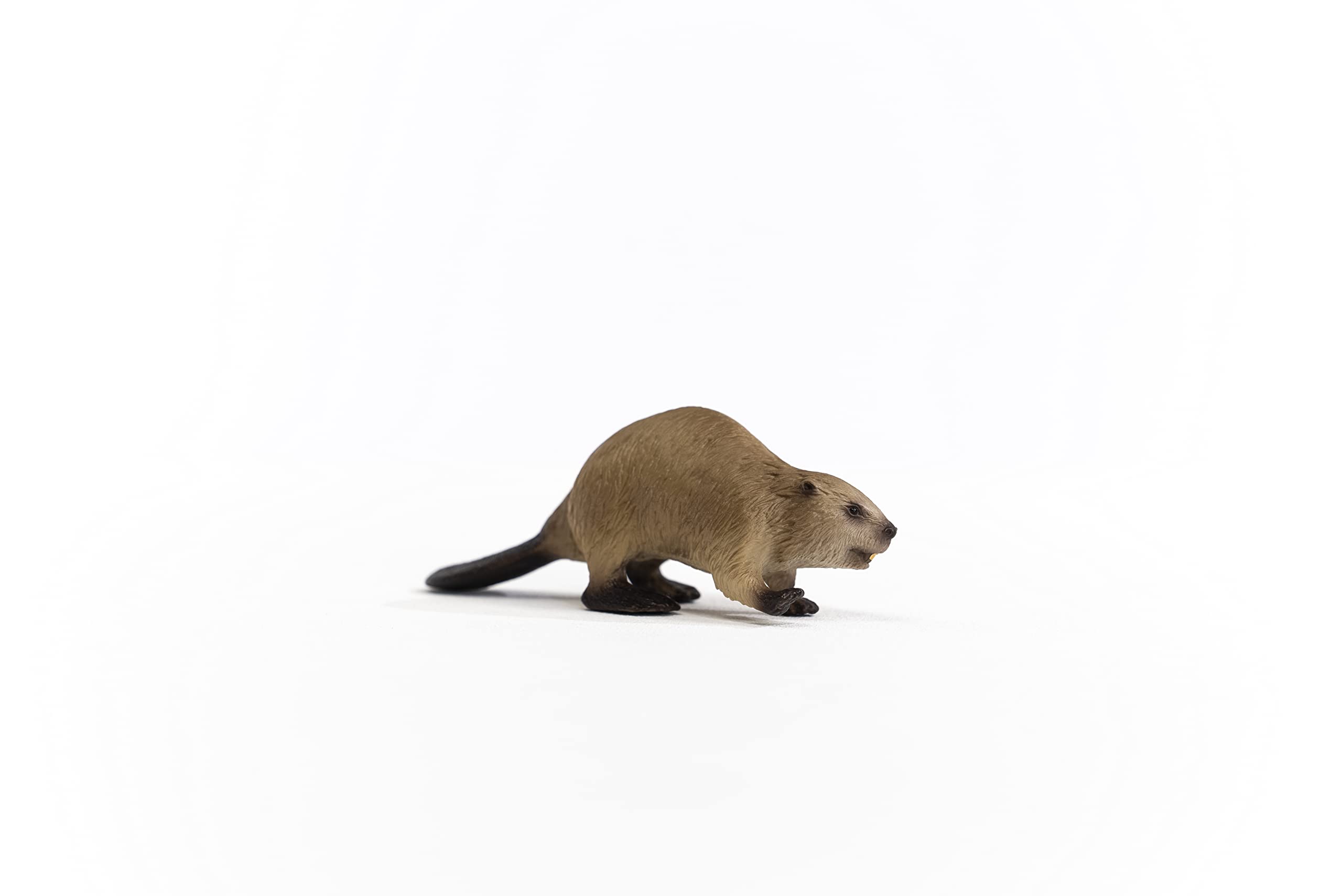Schleich Wild Life Beaver Figurine – Realistic Woodland Animal Toy for Kids Ages 3+
