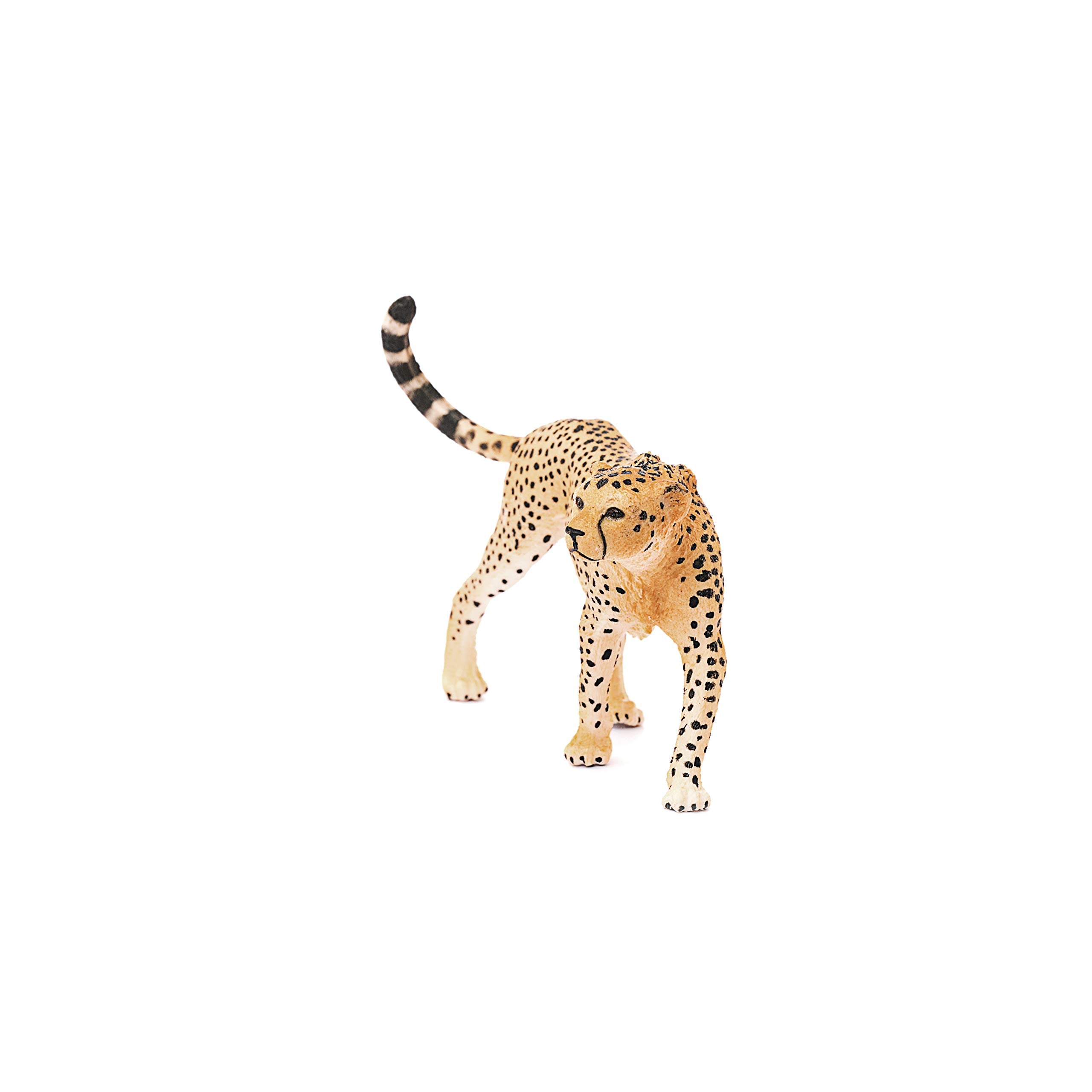 Schleich Wild Life Female Cheetah Figurine – Realistic, Durable, and Hand-Painted Toy for Kids Ages 3+