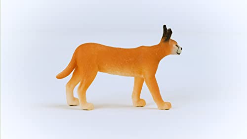 Schleich Wild Life Realistic Female Caracal Toy Figurine - Detailed 3+ Animal Figure