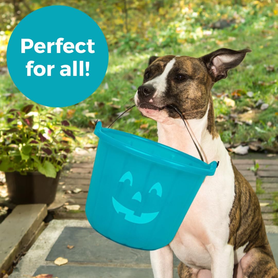 SCS Direct Official Teal Pumpkin Project Trick or Treat Bucket – 8.5 in Plastic Pail with Lid and Handle for Allergy-Friendly Non-Candy Treats (1 Pack)