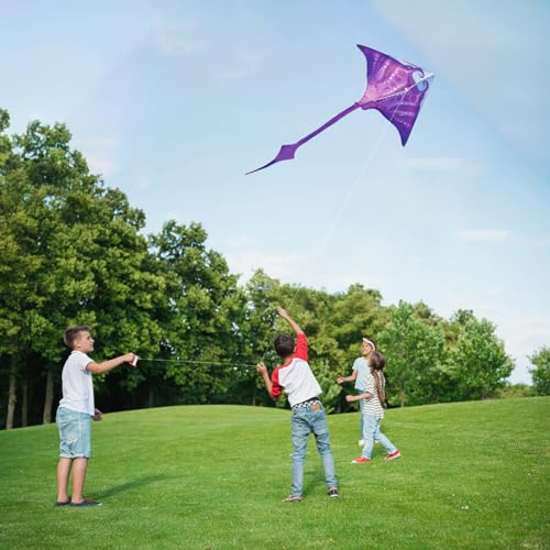 SGftre 3D Red Pterosaur Kite – Easy to Fly, 57x64 Inch, for Kids & Adults, Beach & Outdoor Fun