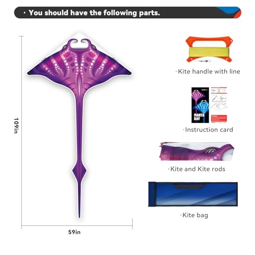 SGftre 3D Red Pterosaur Kite – Easy to Fly, 57x64 Inch, for Kids & Adults, Beach & Outdoor Fun