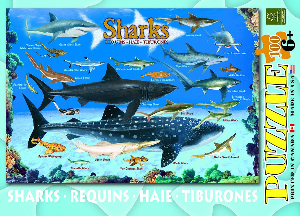 Sharks 100-Piece Jigsaw Puzzle – 13x19 Inches, Eco-Friendly, FSC Certified