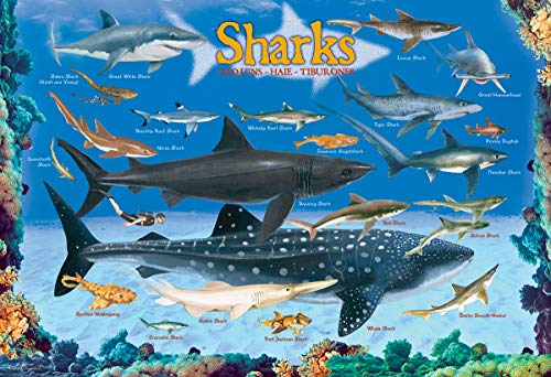 Sharks 100-Piece Jigsaw Puzzle – 13x19 Inches, Eco-Friendly, FSC Certified
