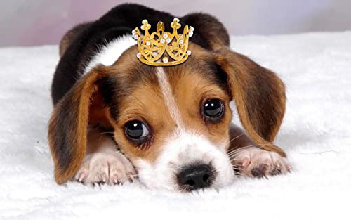 SisBroo Gold Crown Cake Toppers Set of 6 - Metal Mini Crowns for Cakes, Hair, and Party Decor
