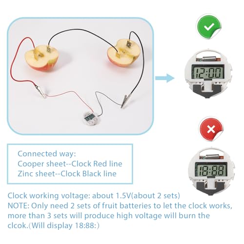Sntieecr Fruit Battery Science Experiment Kit – DIY STEM Lab with Clock, LEDs, Motor & Buzzer