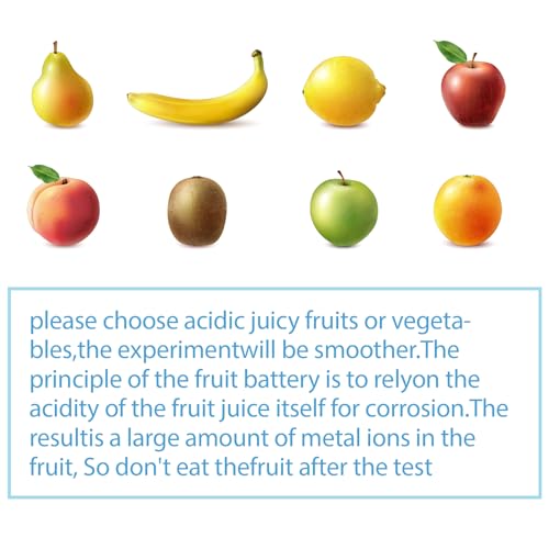 Sntieecr Fruit Battery Science Experiment Kit – DIY STEM Lab with Clock, LEDs, Motor & Buzzer