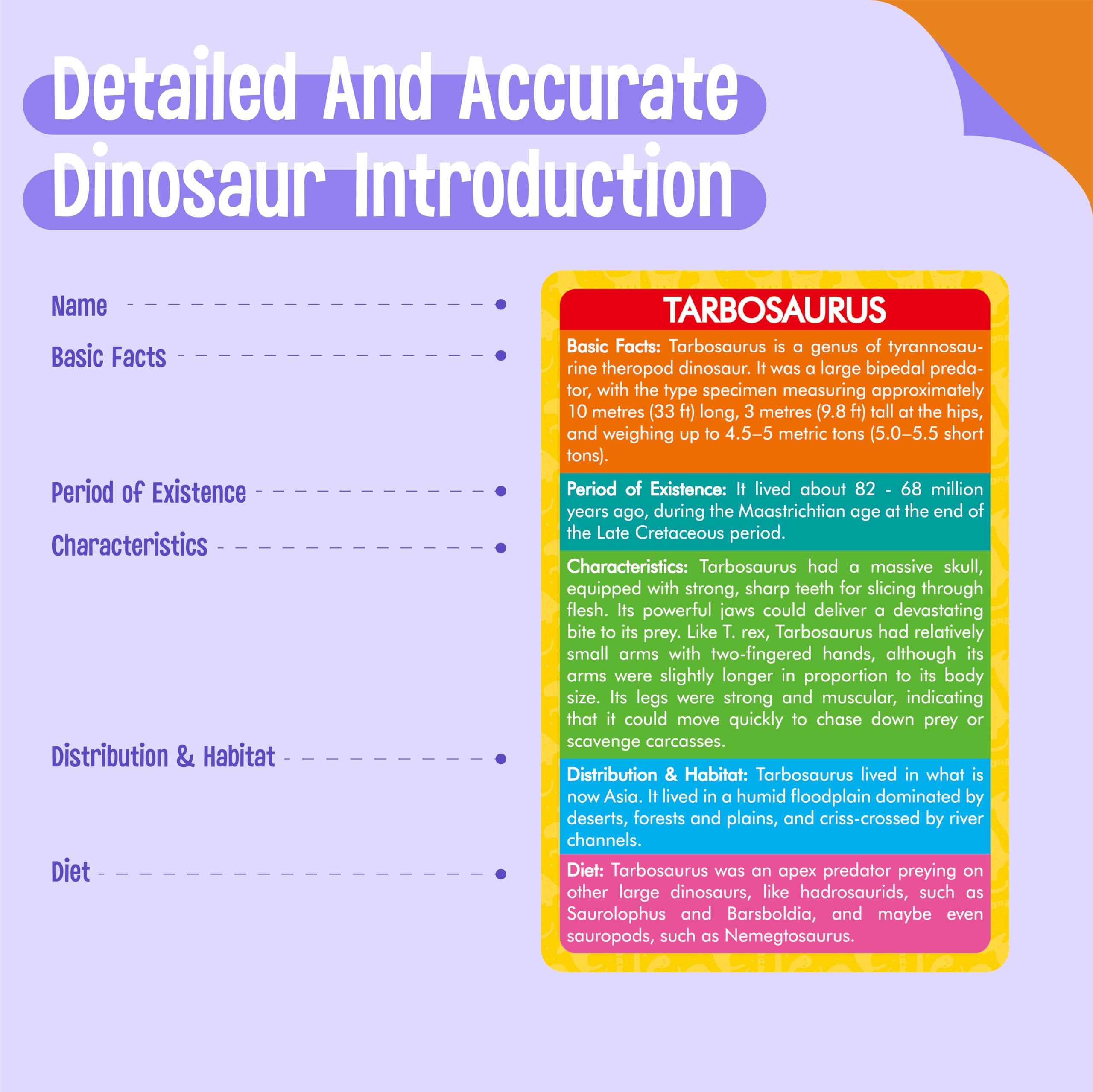 SpriteGru 12-Piece Dinosaur Figurines with Matching Flashcards – Montessori Learning Toy for Toddlers