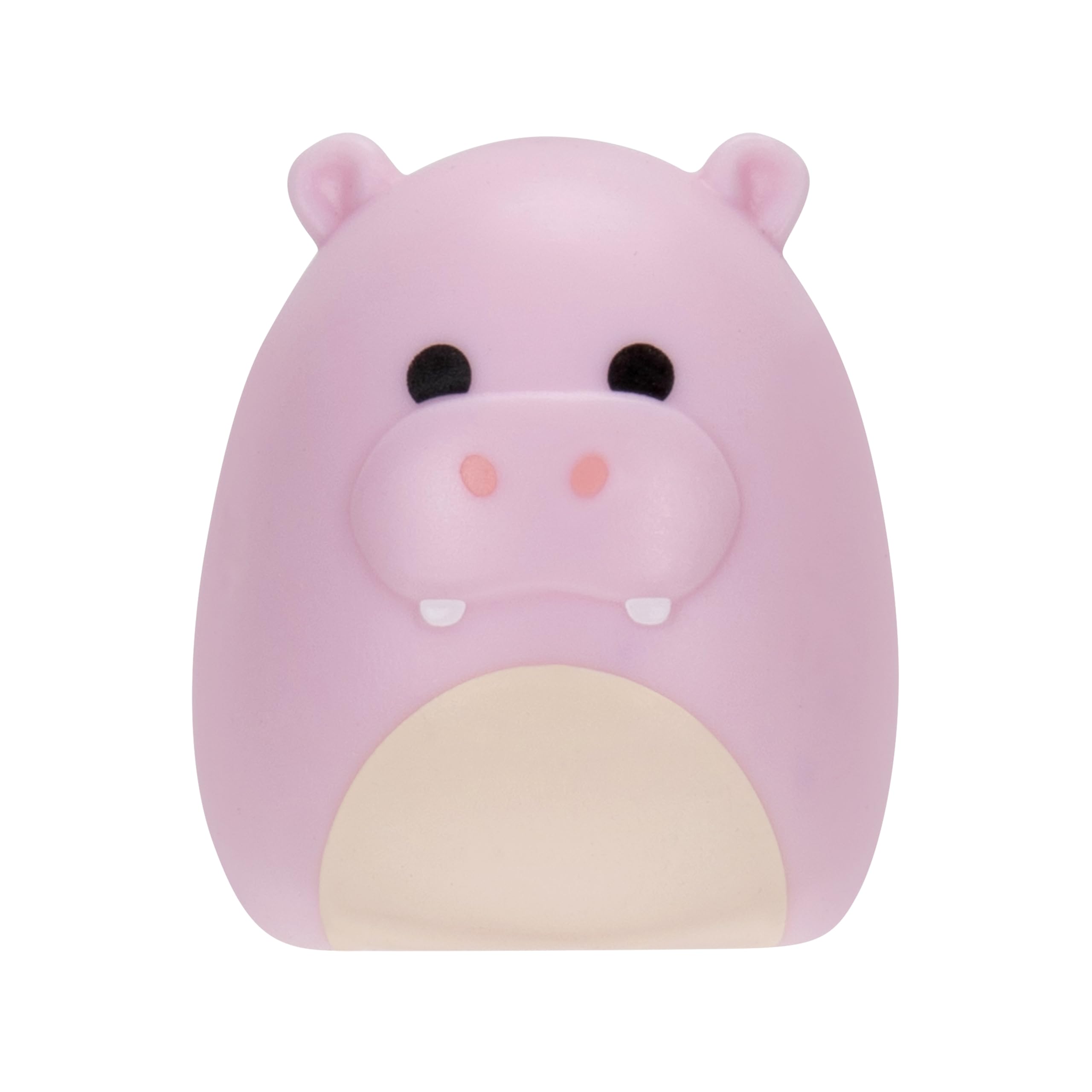 Squish-a-longs 14 Pack (Series 2, Wave 1): 14 Mini-Squish + Accessories + Ring + Collector's Guide