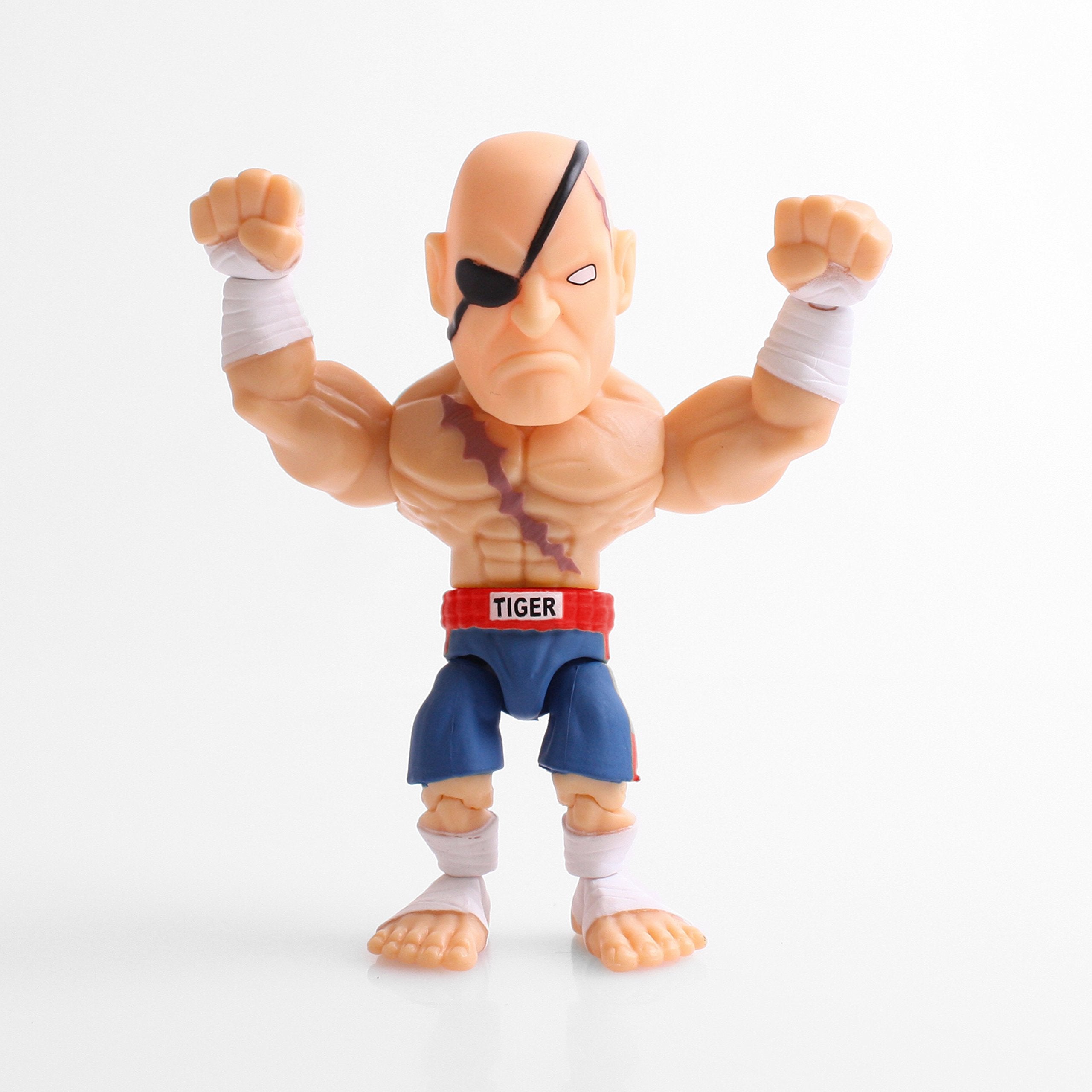 Street Fighter Blind Box Action Figure – The Loyal Subjects Wave 1 (Random Character)