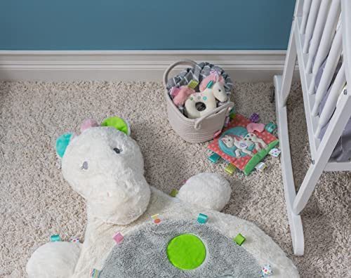 Taggies Painted Pony Embroidered Soft Ring Rattle - 5-Inch Baby Rattle with Satin Loop Tags
