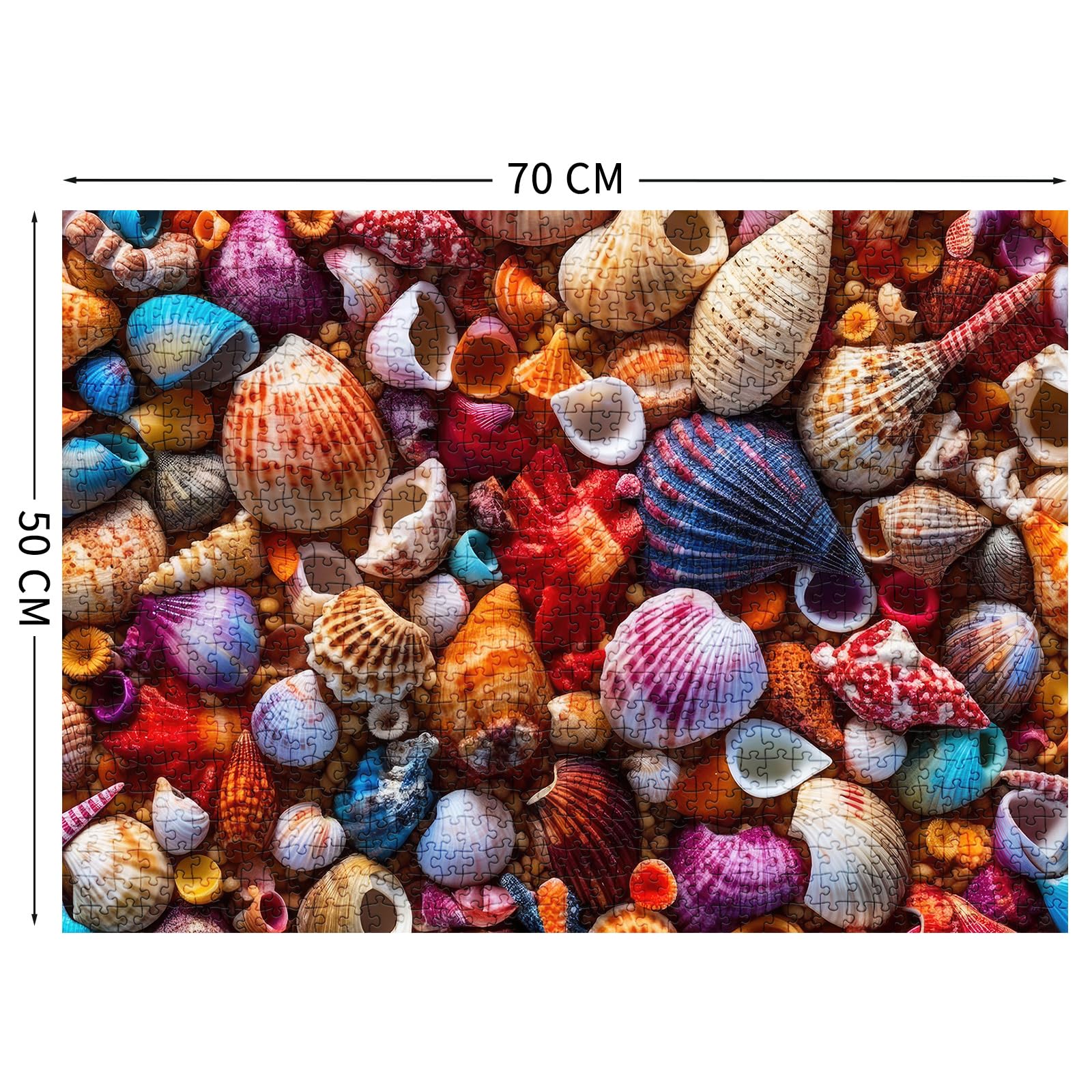 TangComplete Colorful Conch 1000-Piece Jigsaw for Adults – 70x50cm Finished Size, with Poster
