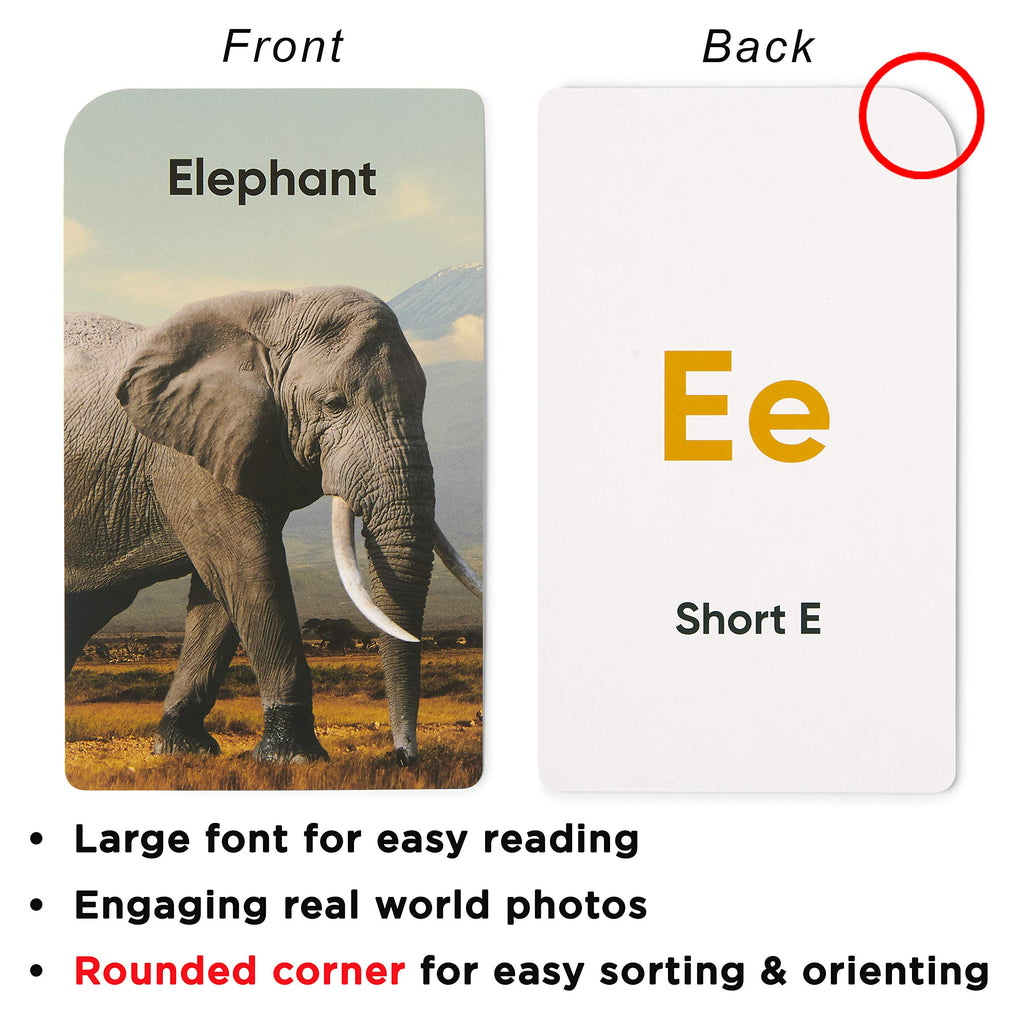 Think Tank Scholar Award-Winning Alphabet Flash Cards – Learn ABCs, Phonics & Speech for Ages 2-6