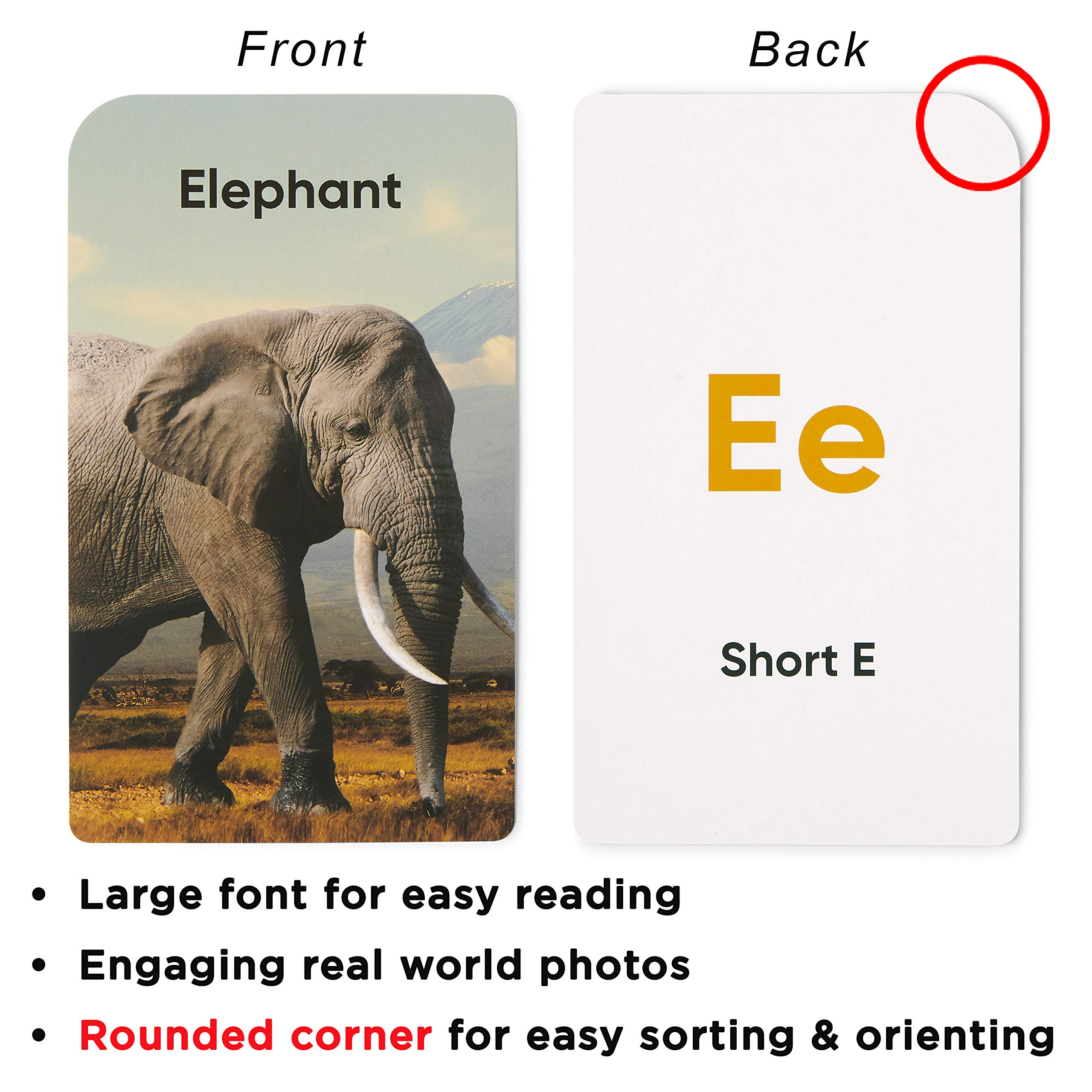 Think Tank Scholar Award-Winning Alphabet Flash Cards – Learn ABCs, Phonics & Speech for Ages 2-6