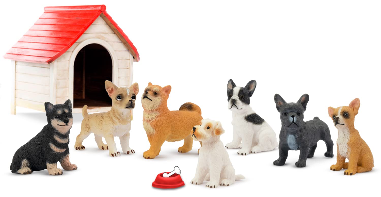 Toymany 12PCS Mini Dog Figurines – Hand-Painted Plastic Puppies, 6 Breeds, Cake Toppers for Kids 3+