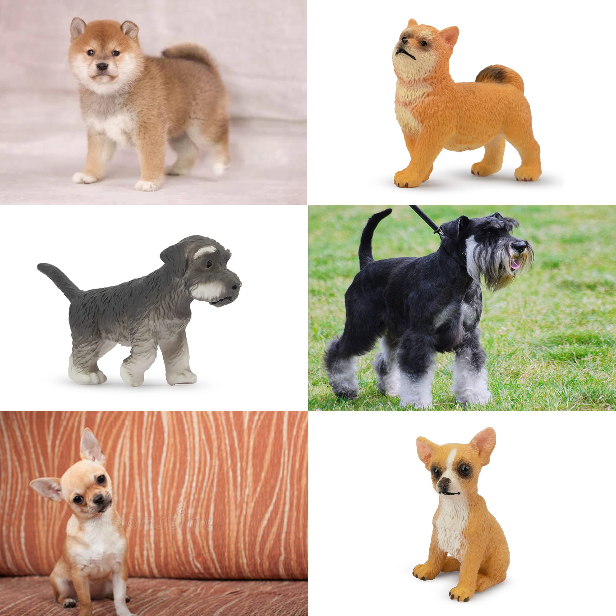 Toymany 12PCS Mini Dog Figurines – Hand-Painted Plastic Puppies, 6 Breeds, Cake Toppers for Kids 3+