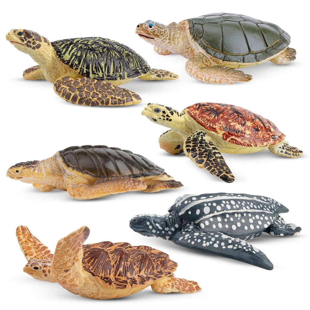 Toymany 6-Piece Realistic Sea Turtle Figurines Set - Hand Painted PVC Ocean Animal Toys for Kids, Educational Playset, Cake Toppers