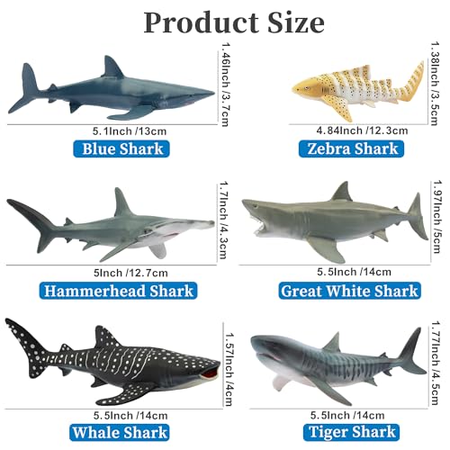 Toymany 6-Piece Realistic Shark Figurines – 5-6 Inch Plastic Ocean Animals, Includes Great White, Hammerhead, and More, for Kids' Bath or Cake Decor