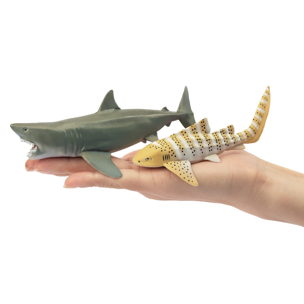 Toymany 6-Piece Realistic Shark Figurines – 5-6 Inch Plastic Ocean Animals, Includes Great White, Hammerhead, and More, for Kids' Bath or Cake Decor