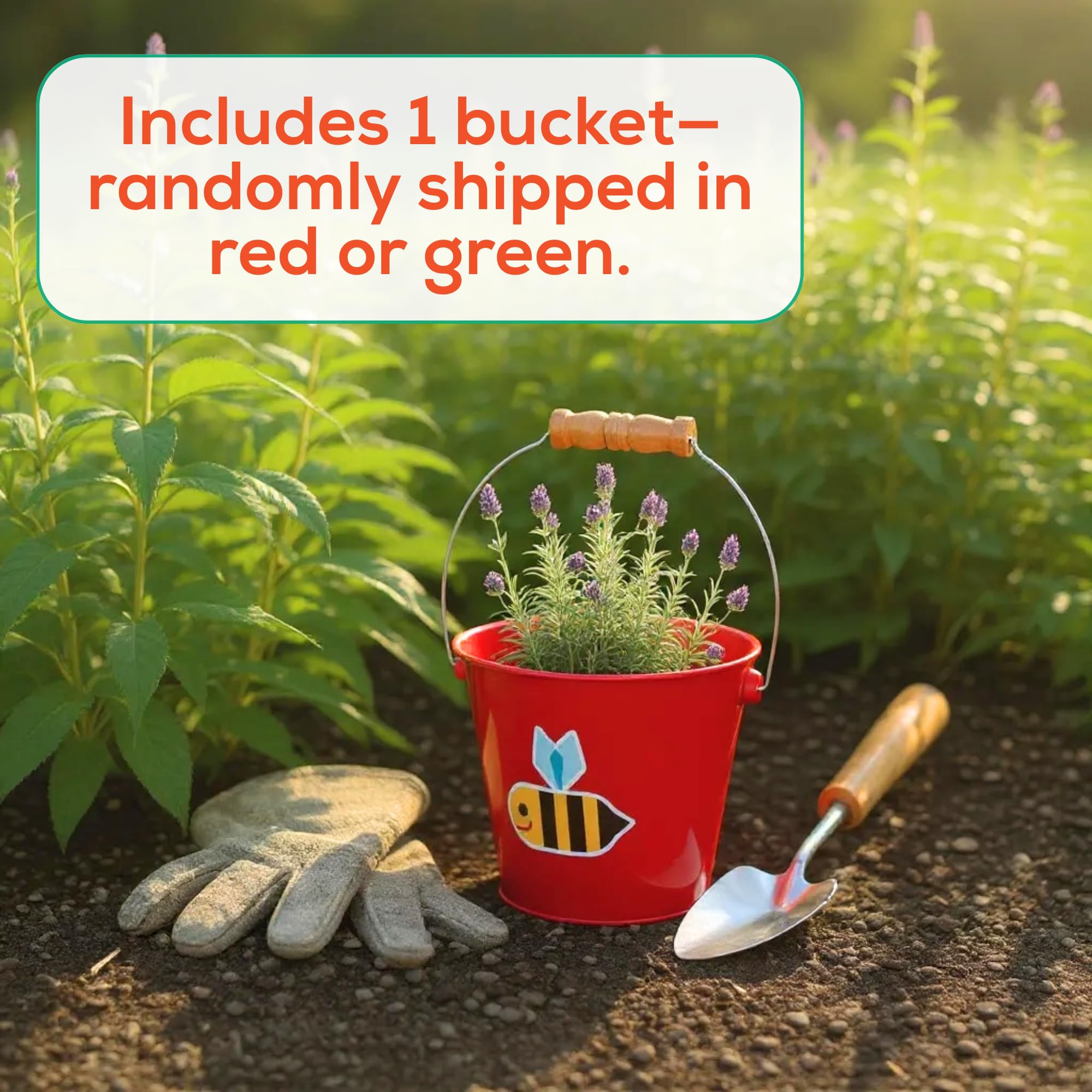 Toysmith 5-Inch Metal Garden & Beach Bucket for Kids – Bee & Beetle Designs