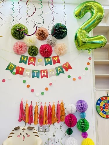 Umgozrz Pink and Green Birthday Decorations Kit – Tissue Paper Pom Poms, Banner, Tassels, Garland & Swirls