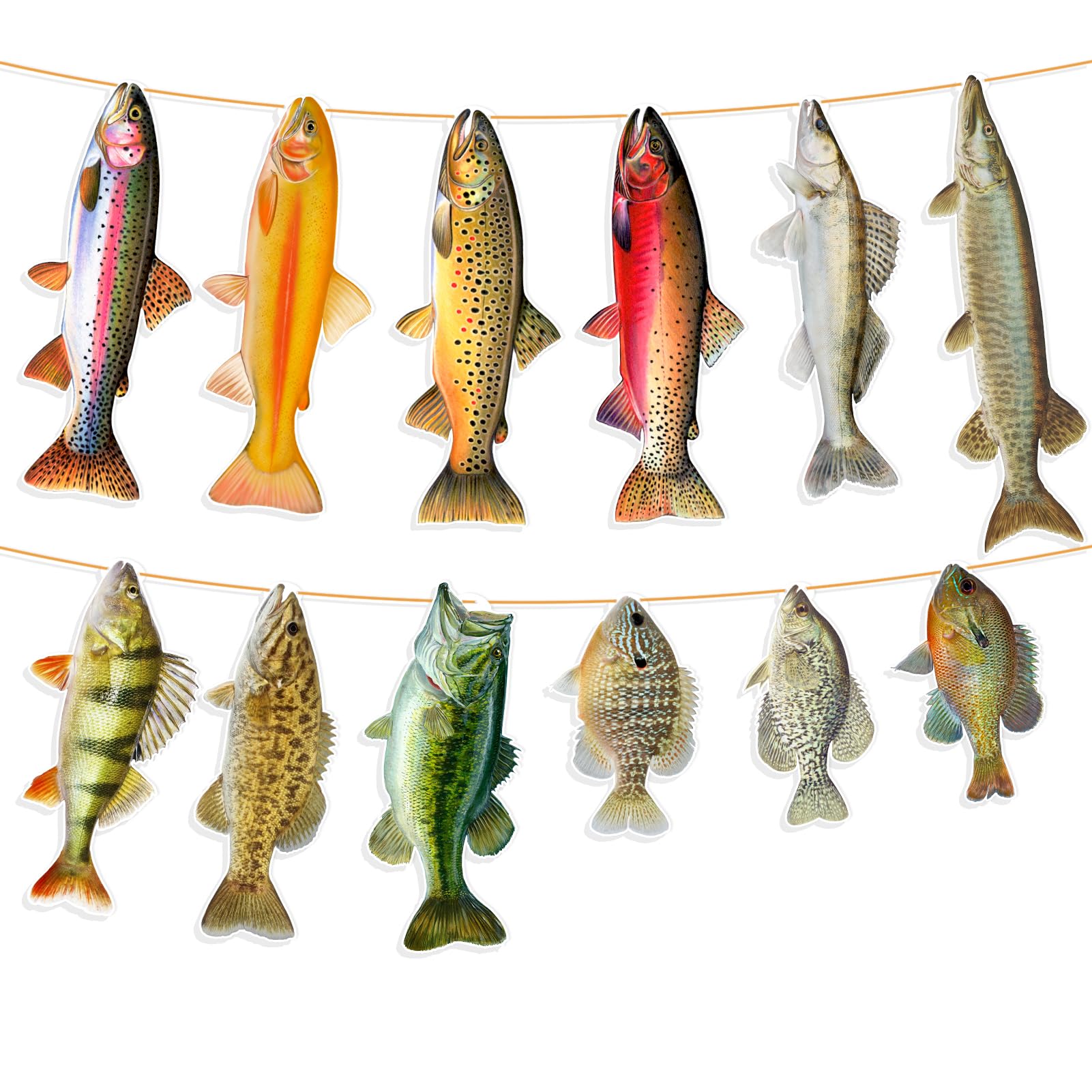 Ushinemi Fishing Birthday Banner – 12 Realistic Fish Cards for Party Decor (Bass, Trout, Sunfish)