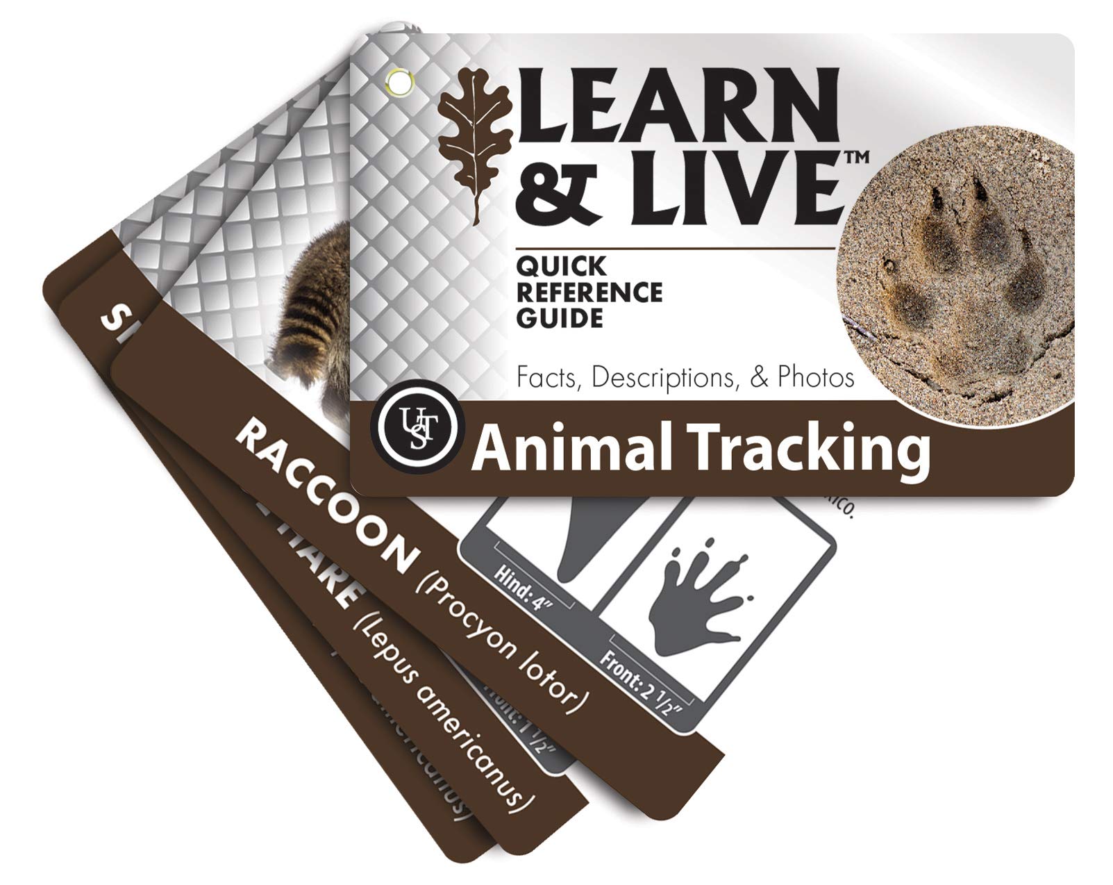 UST Learn & Live Outdoor Skills Card Set – Waterproof, Compact, 12 Survival Topics