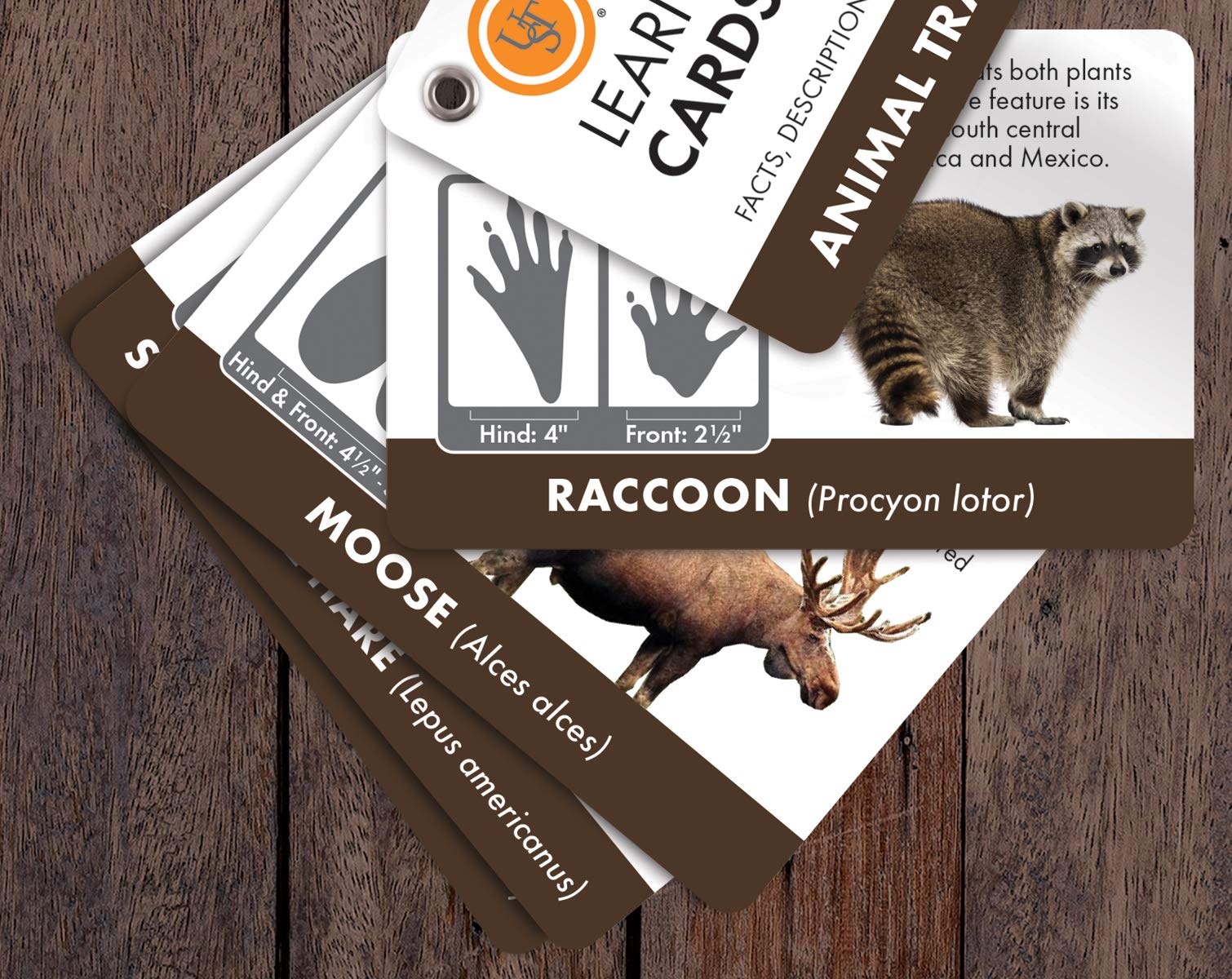 UST Learn & Live Outdoor Skills Card Set – Waterproof, Compact, 12 Survival Topics