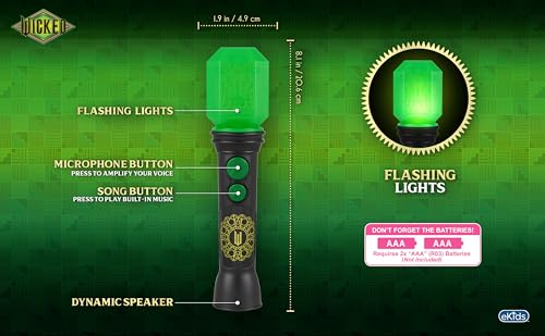 Wicked Sing Along Microphone with Built-in Music and Lights for Toddlers Ages 3+