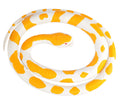 Wild Republic Albino Python Rubber Snake Toy – 46-Inch Realistic Educational Toy