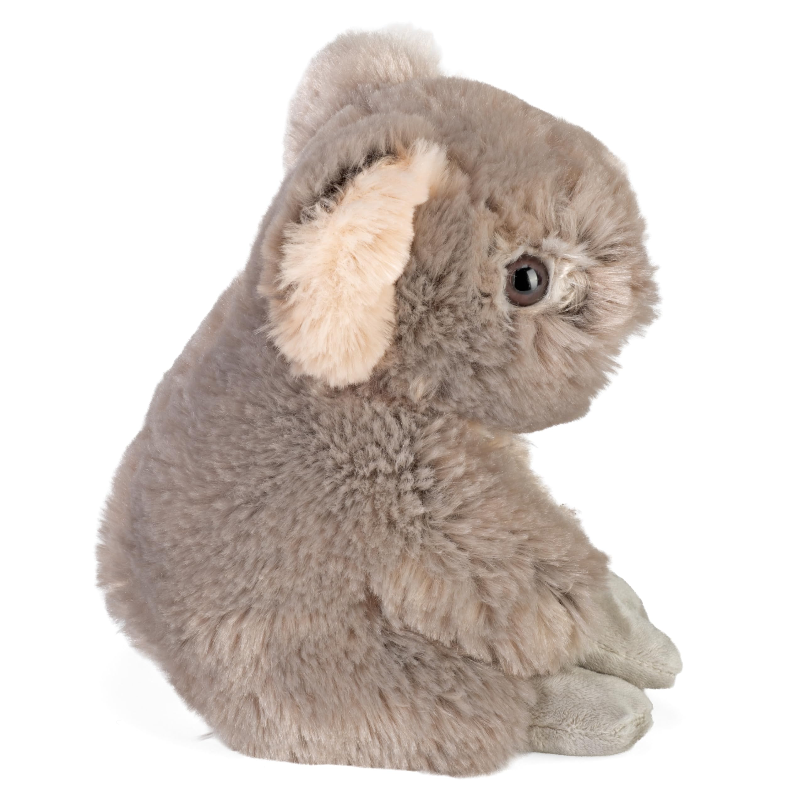 Wild Republic Cuddlekins Koala Plush, 8-Inch Soft Stuffed Animal - Surface Washable