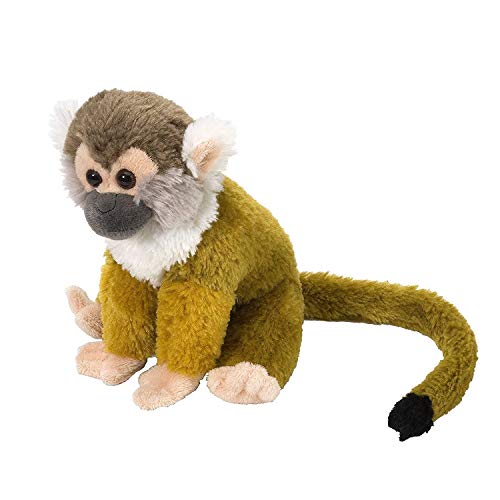 Wild Republic Cuddlekins Squirrel Monkey Plush - 8 Inch Stuffed Animal Toy for Kids