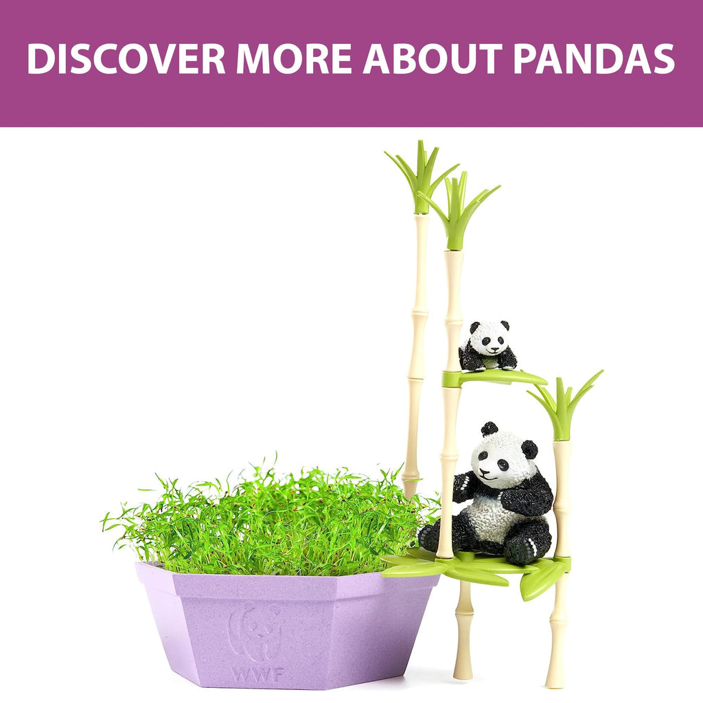 Wild Scenes Pandas' Bamboo Forest - Grow & Play Kit with Dill Seeds, Recycled Plastic Habitat Toy for Kids Ages 4+