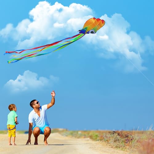 Xida Octopus Kite for Kids and Adults – Rainbow Frameless Soft Kite with 200ft Line