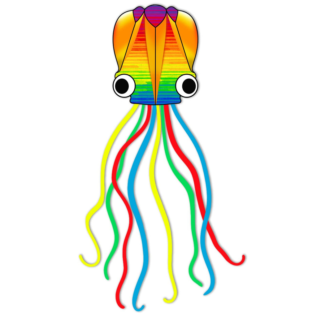 Xida Octopus Kite for Kids and Adults – Rainbow Frameless Soft Kite with 200ft Line