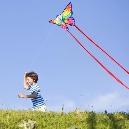 YFAFENGS Double Kite Set: Butterfly & Skull Kites for Kids and Adults, Easy to Fly and Portable
