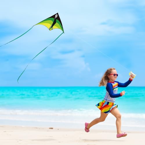 YFAFENGS Large Delta Kite for Kids & Adults – Easy to Fly with Line and Handle, Ripstop Polyester