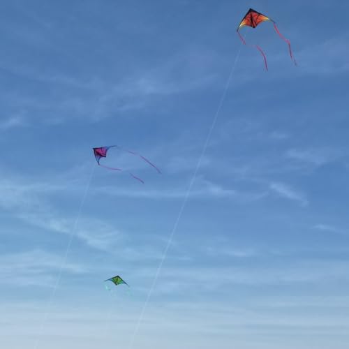 YFAFENGS Large Delta Kite Orange – Easy-to-Fly Outdoor Kite for Kids and Adults, Includes Line and Handle