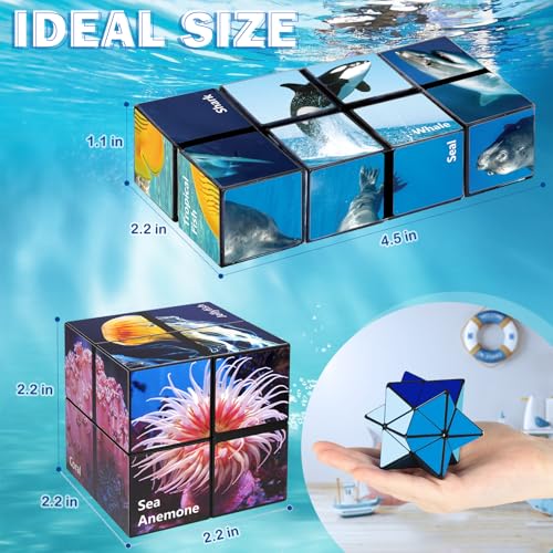Yoshimoto Star Cube Set 2 in 1 – Magic Fidget Toy for Kids and Adults, Ages 8+