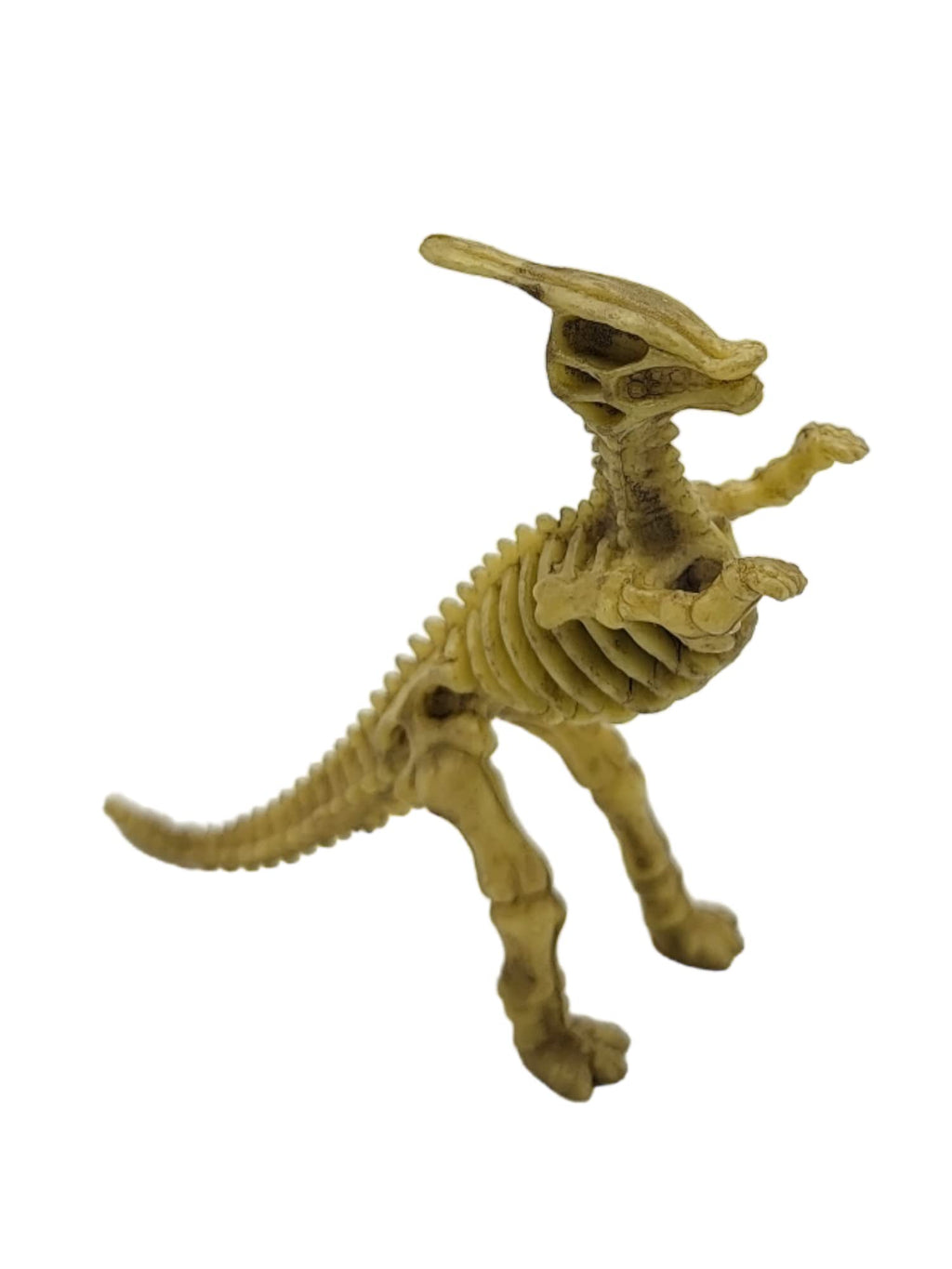Zugar Land 12-Pack Dinosaur Fossil Skeleton Figures – 3-4 Inch PVC Dino Collection for Science Learning, Party Favors & More