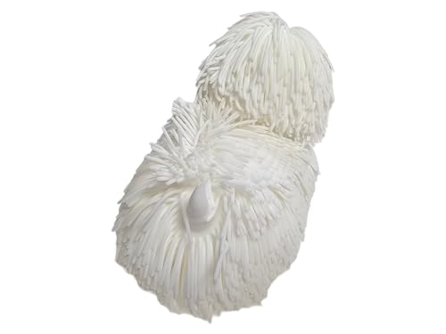 Zugar Land Soft Shaggy Puffer Dog Toy – Squishy, Stretchy Air-Filled Fun for Dogs (White, 8" x 5")